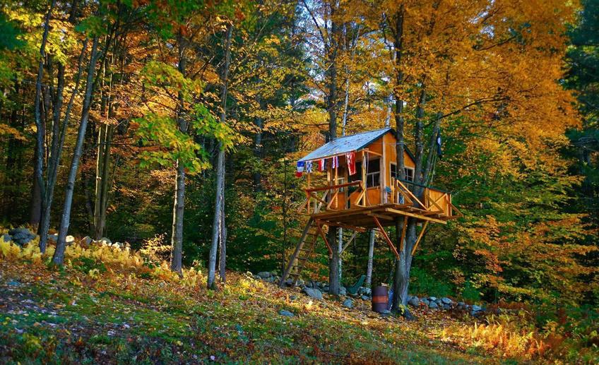 295 1tree house in fall