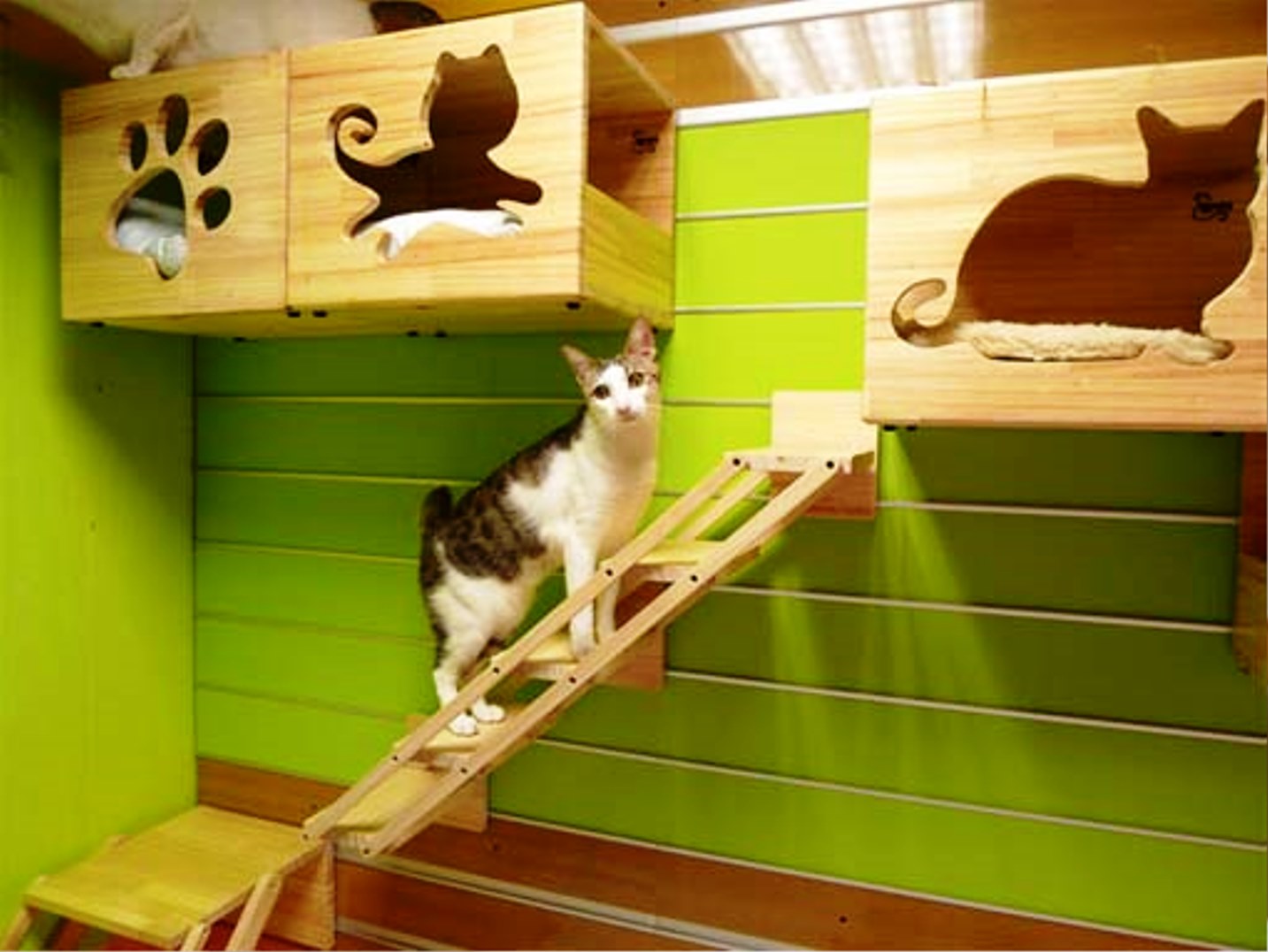 2-stylish-cat-house-5.jpg